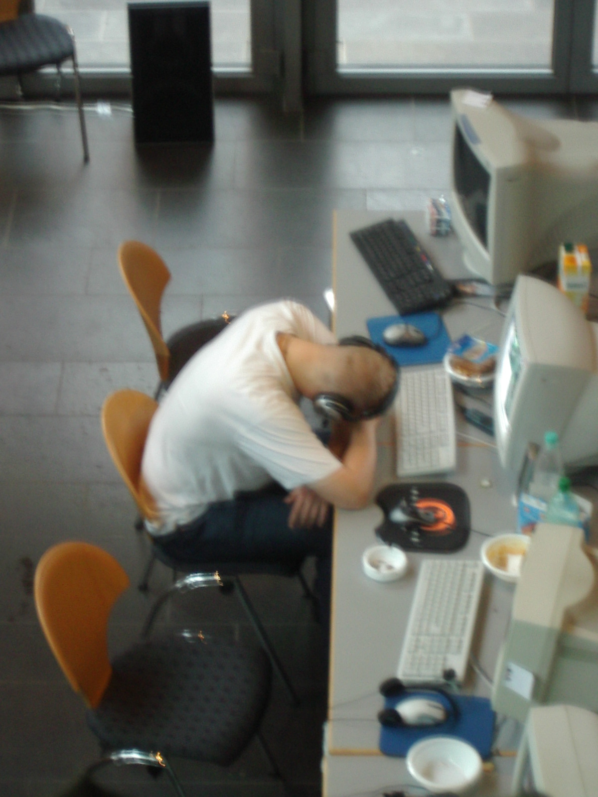 SunnyFreak_pennt.JPG>